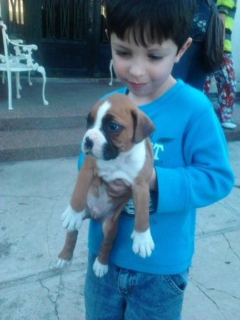 AUN PEQUEÑO. AUN PEQUEÑO.